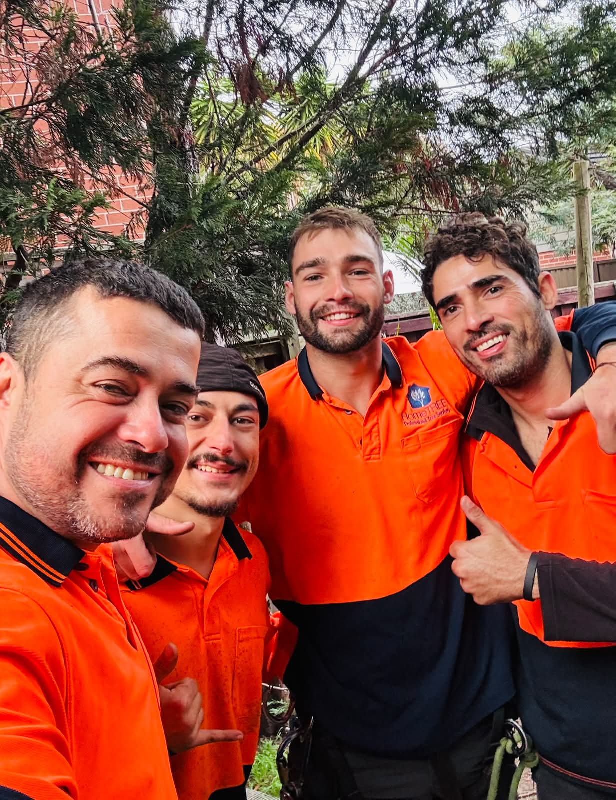 Learn how tree removal works in Coogee, NSW. Find out about council regulations, arborist advice, tree pruning, stump grinding, and safe tree removal services.