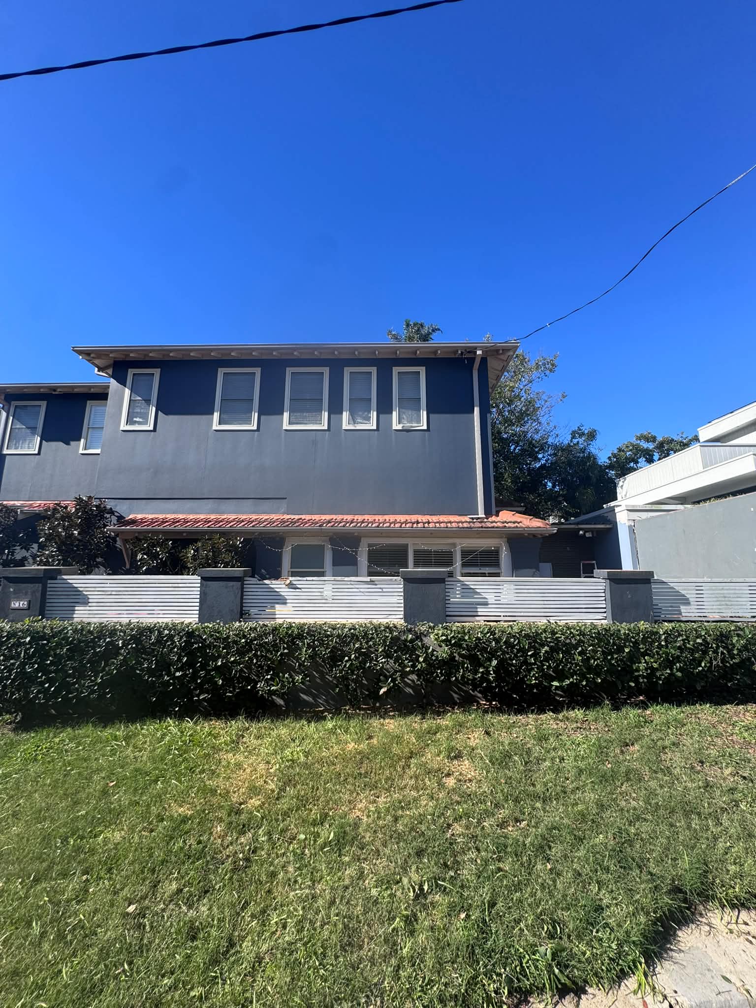 Tree removal Coogee NSW residential property before arborist work
