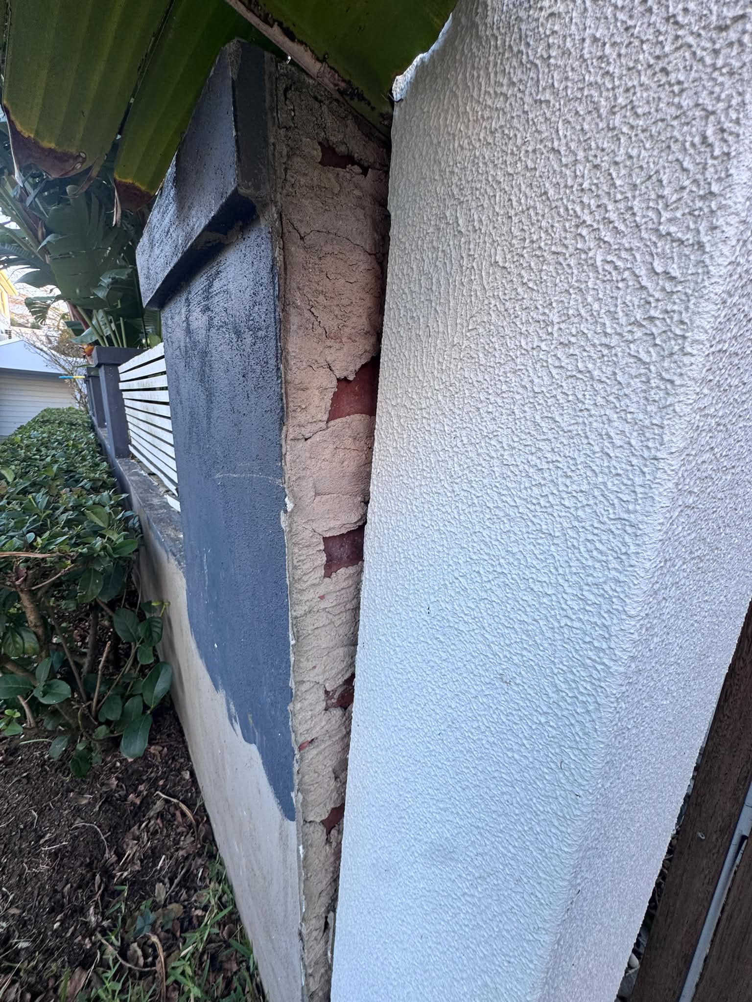 Close-up of retaining wall damage caused by tree roots in Coogee