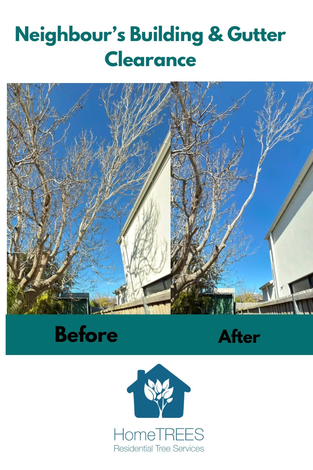 Before and after neighbour tree pruning for building and gutter clearance
